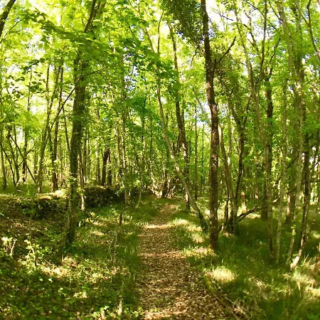 Ecologique En Vallee De La Dordogne Lotoise * Gignac (Lot)
