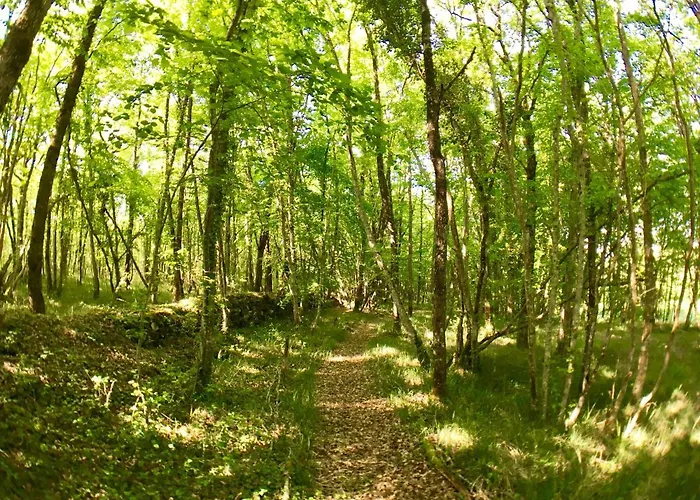 écologique En Vallée De La Dordogne Lotoise * Gignac (Lot)